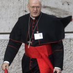 cardinale erdo